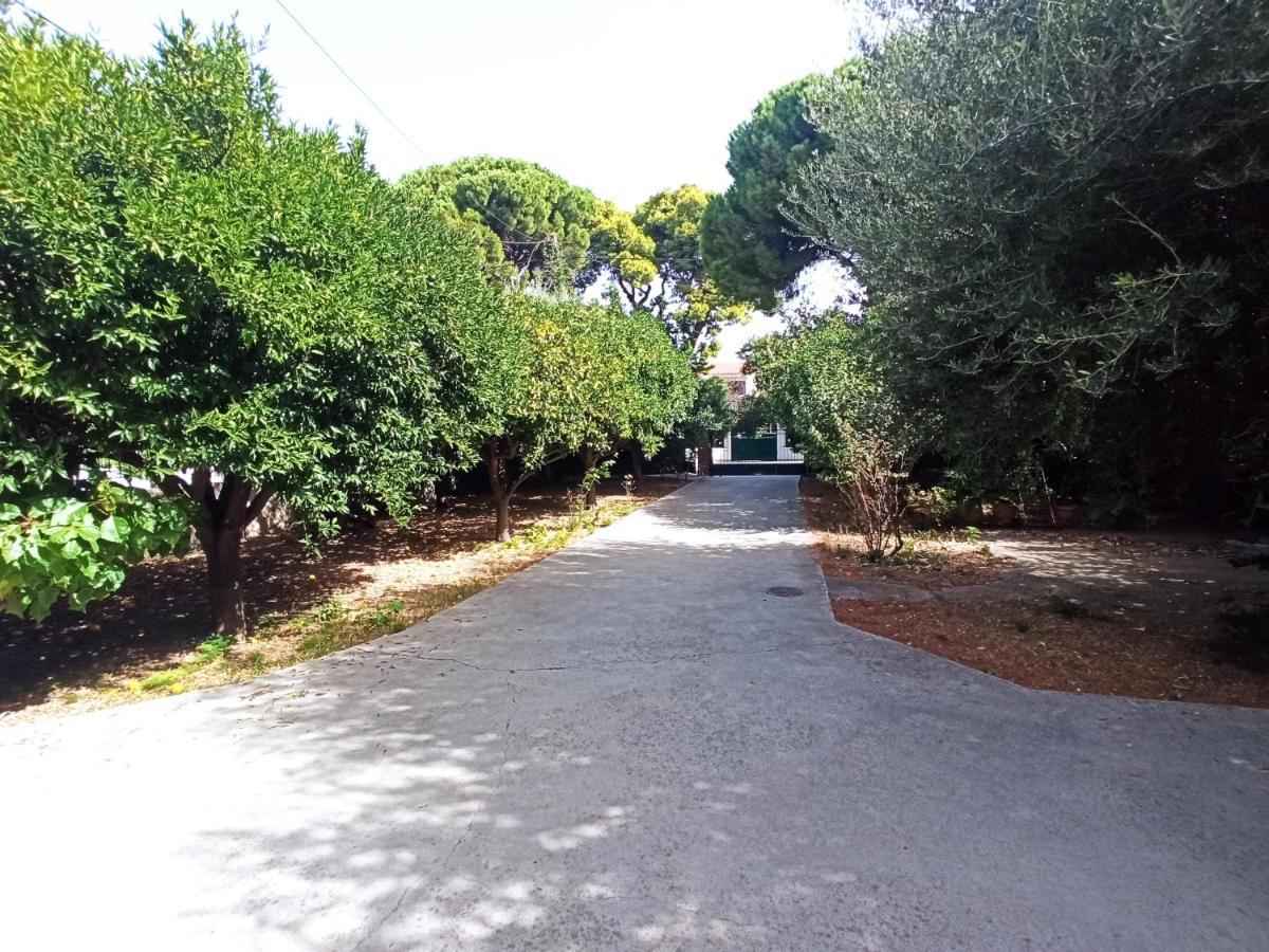 Апартаменты Σπίτι Στο Ρίο Πατρών Με Κήπο - Detached House In Rio With Garden Экстерьер фото